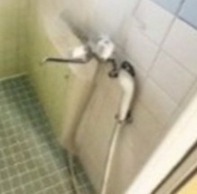 シャワールーム