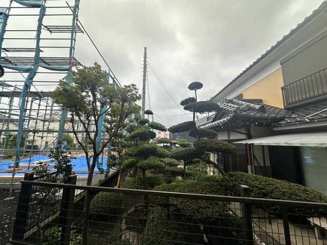 眺望