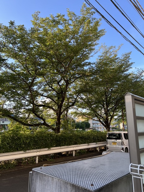眺望