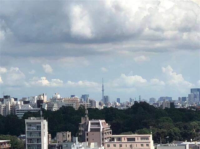 眺望