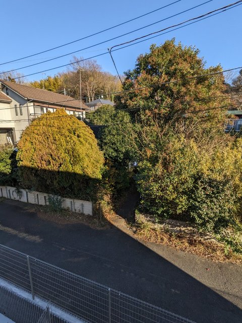 眺望