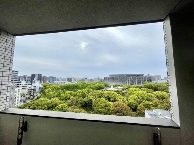眺望