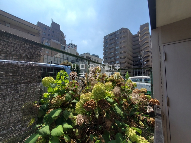 眺望
